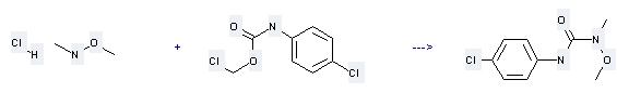 Monolinuron는N의O 디메틸hydroxylamine에 의해준비될수 있습니다; chloromethylN-(4chlorophenyl)카바메이트를 가진염산염.